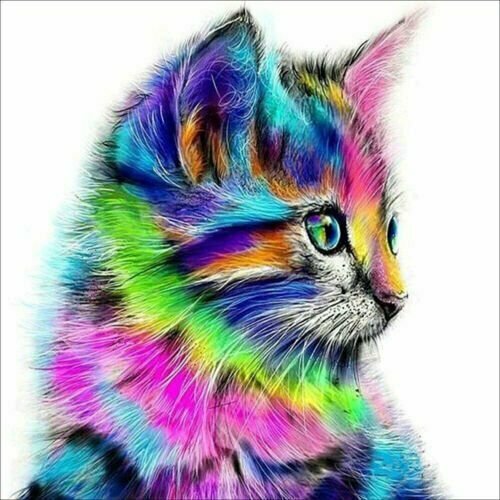 RAINBOW CAT 30*30CM DIY 5D Diamond Painting Crystal Cross Stitch Hand Embroidery Art