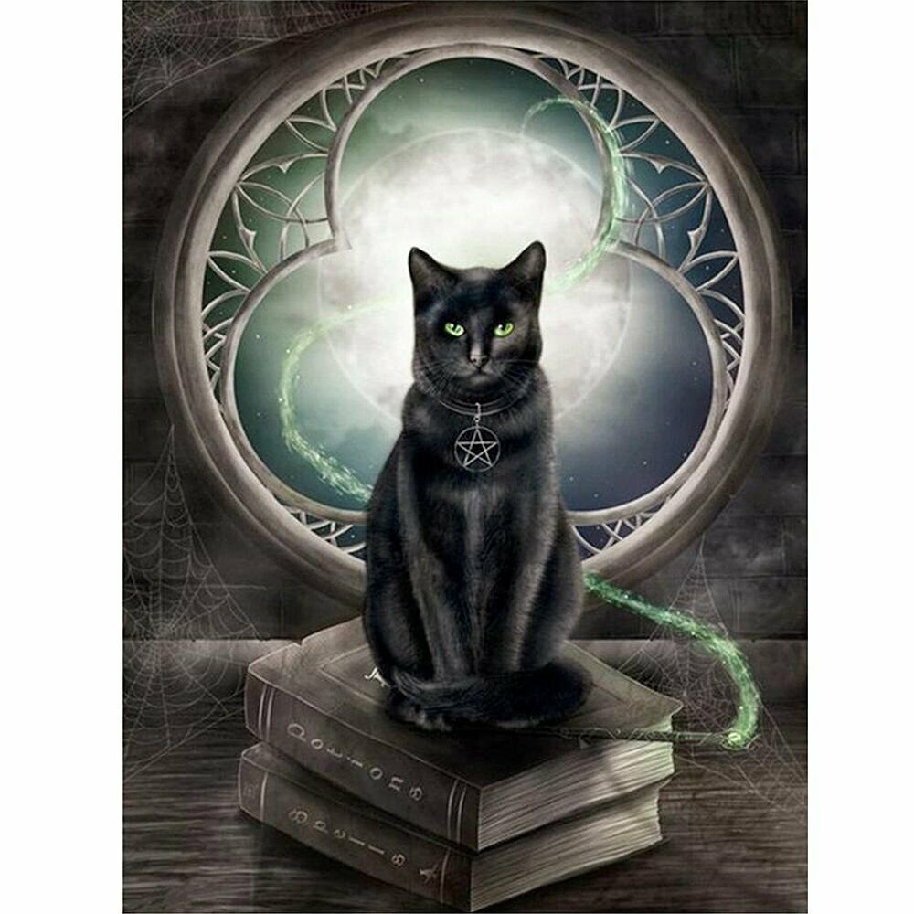 BLACK CAT 30*40CM DIY 5D Diamond Painting Crystal Cross Stitch Hand Embroidery Art