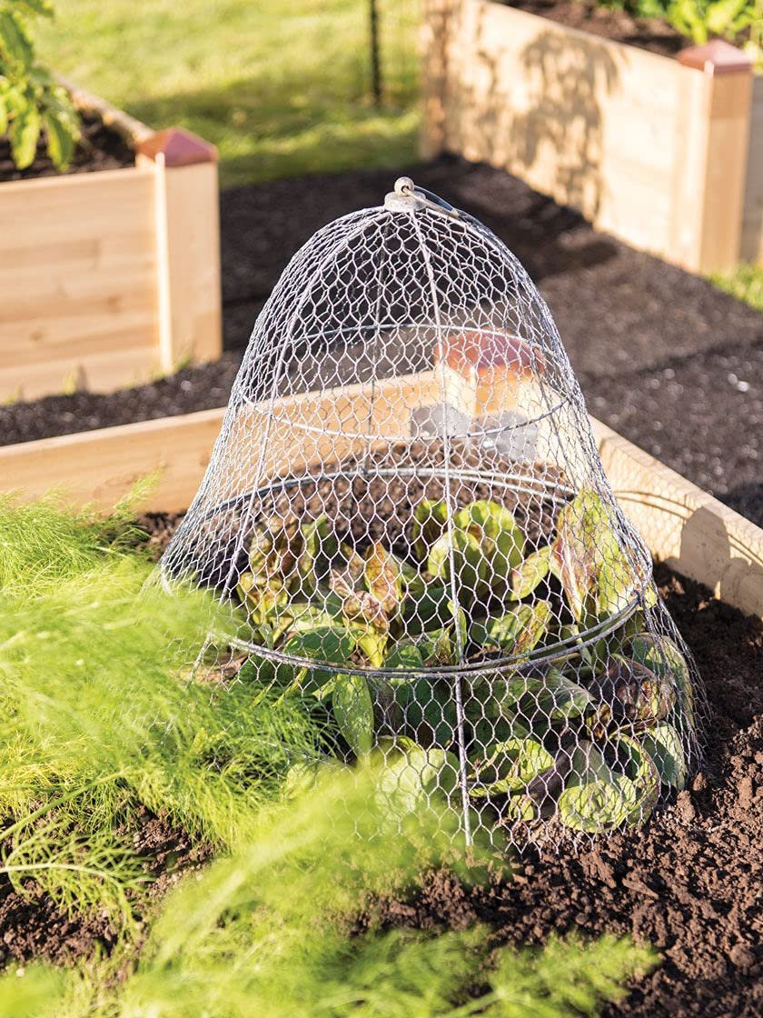 Chicken Wire Cloche Plant Protector & Cover with Extension