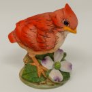 Vintage Bisque Porcelain Red Cardinal Baby Bird with Dogwood Flower Figurine #6350 Andrea by Sadek Vintage Bisque Porcelain Red Cardinal Baby Bird with Dogwood Flower Figurine #6350 Andrea by Sadek