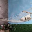 Two-Person Hammock
