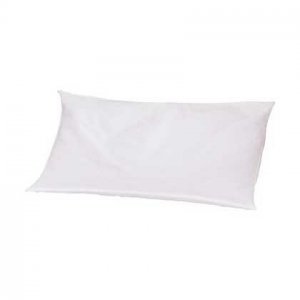 Buckweat Pillow