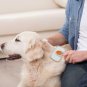 Dog Cat Brush Pet Grooming Comb with Massages Particle Remove Undercoat Shed Fur