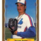 1990 Jacksonville Expos ProCards #1374 Hector Rivera