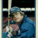 1982 Fleer 352 Greg Luzinski