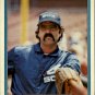 1982 Fleer 349 Dennis Lamp