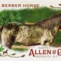 2017 Topps Allen and Ginter Mini Horse in the Race HR19 Arabian Berber Horse