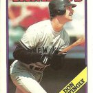 1988 O-Pee-Chee 300 Don Mattingly 1988 O-Pee-Chee 300 Don Mattingly