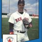 1989 Pawtucket Red Sox ProCards 695 Scott Wade