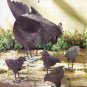 hen with chicks sculpture