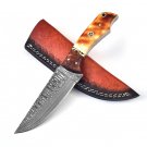 Abandoned Pyre Fixed Blade Damascus Hunt for Life Outdoor Hunting Knife FREE SHIPPING