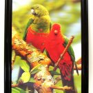 Parrot 3-D Picture Framed FREE SHIPPING