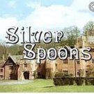 Silver Spoons Complete Series These Are Handmade Sets Not ORIGINALS