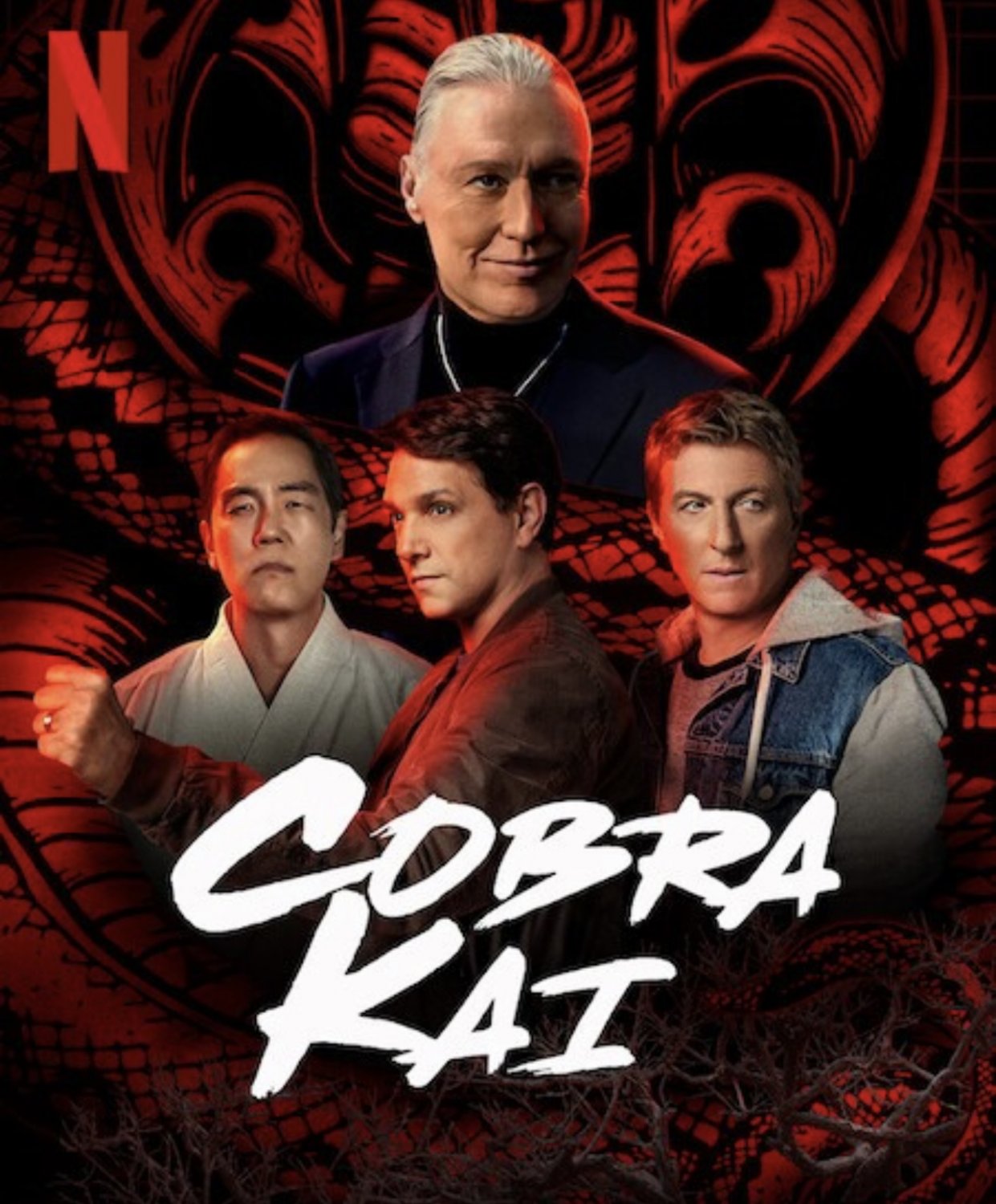 Cobra Kai Seasons 1-5 Complete These Are Handmade Sets Not ORIGINALS