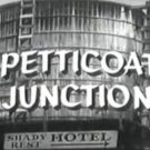 Petticoat Junction Complete Series These Are Handmade Sets Not ORIGINALS