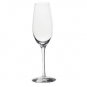 Orrefors "Merlot" Flute