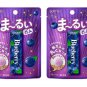 2 x Pcs Japan Lotte Marui Blueberry Gum 21g gums