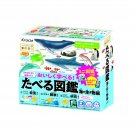 Kracie Children's Educational Handmade Candy Kit Sea Creatures Edition Set of 5 Pcs