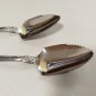 Japanese 2 pieces Stainless Steel Serrated Grapefruit Spoons Set