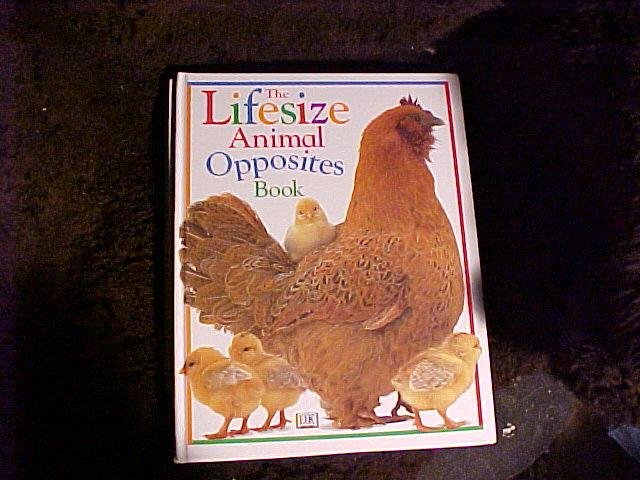 The Lifesize Animal Opposites Book HC Children