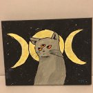 Moon Cat