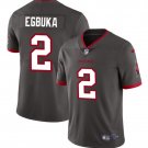 Emeka Egbuka Tampa Bay Buccaneers #2 New Gray Stitched Jersey