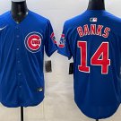Chicago Cubs #14 Ernie Banks Royal Limited Stitched Jersey