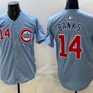 Chicago Cubs #14 Ernie Banks Baby Blue Limited Stitched Jersey