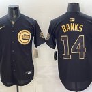 Chicago Cubs #14 Ernie Banks Black Gold 150th Anniversary Patch Stitched Baseball Jersey