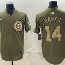 Chicago Cubs #14 Ernie Banks Olive 2026 Armed Forces Day Salute To Service Stitched Baseball Jersey