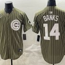 Chicago Cubs #14 Ernie Banks Pinstripe Olive 2026 Armed Forces Day Salute To Service Stitched Jersey