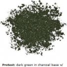 Urban Decay LOOSE PIGMENT dark army green iridescent PROTEST mineral eye shadow powder NEW!