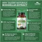 Boswellia Serrata Premium 5000mg Extra Strength 10:1 Extract with 65% Boswellic Acid, 180 Capsules