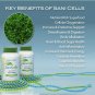 Sani Cells Blue-Green Algae Capsules with Chlorophyll Stem Cell Superfood