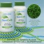 Sani Cells Blue-Green Algae Capsules with Chlorophyll Stem Cell Superfood