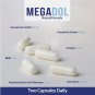 MEGADOL Natural Formula – Daily Capsules with a Joint Comfort Focus | 60 Capsules