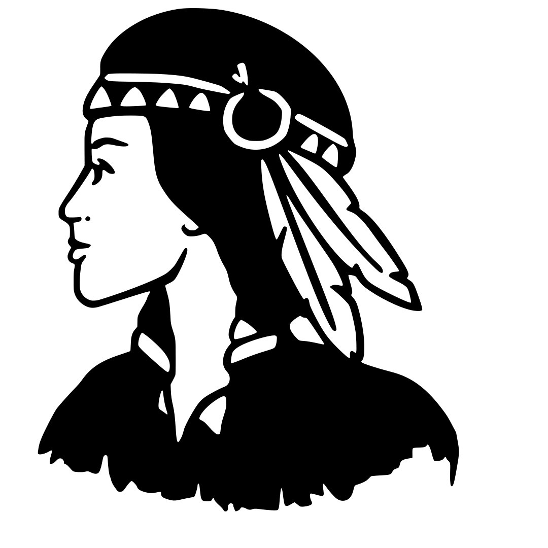 Indian Girl with Two Feathers Vinyl Decal Sticker Native American Symbol Car Laptop Wall Window Boat