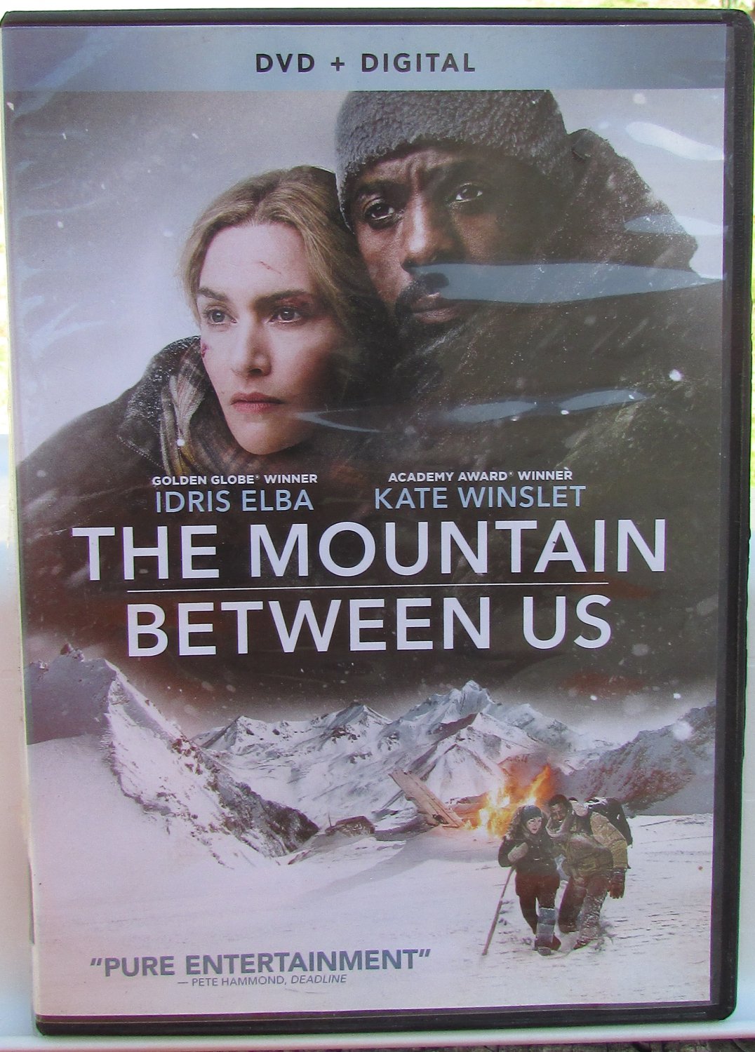 The Mountain Between Us [dvd + digital] Idris Elba, Kate Winslet