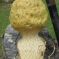 Doll Head from maybe the 1920s