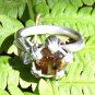 Titanite Encased in Petals
