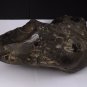 Huge Agate, perfect for carving or cabbing