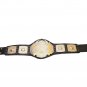 TNA World Heavyweight Wrestling Championship Belt Replica 4mm Plates