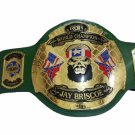 ROH Ring Of Honor World Wrestling Championship Belt Replica 4mm Plates