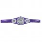 WWE Cruiser Weight Wrestling Championship Belt Replica  4mm plates