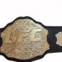 UFC Utimate Fighting Wrestling Championship Belt Zinc Plate Replica 4mm Plates