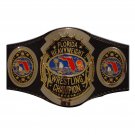 AWA Florida Heavyweight Wrestling Championship Belt replica 4mmPlates