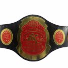 AWA Southern Heavyweight Wrestling Championship Belt Replica 4mm plates