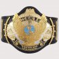 wwe Dual Plated Winged Eagle WWE Championship Replica Title