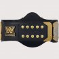 wwe Dual Plated Winged Eagle WWE Championship Replica Title