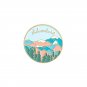 pins